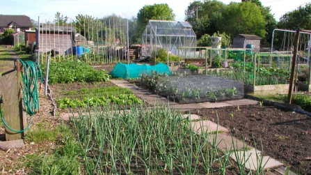 Inviting you to allotment life (so to speak)